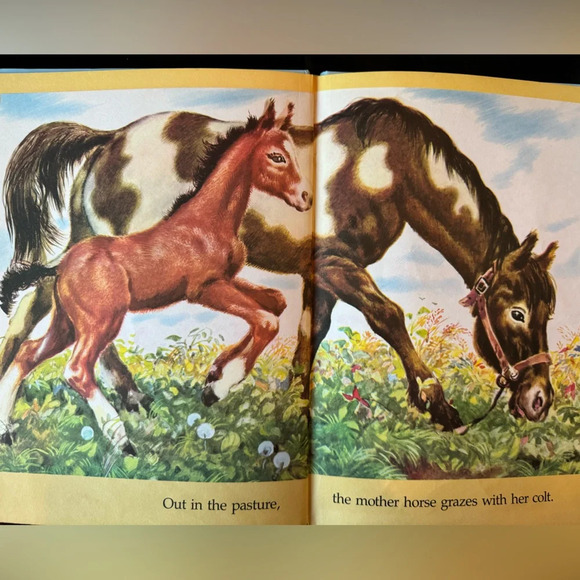 VINTAGE 1991 Farm Animals Children’s Illustrated Hardcover Book - Picture 11 of 13